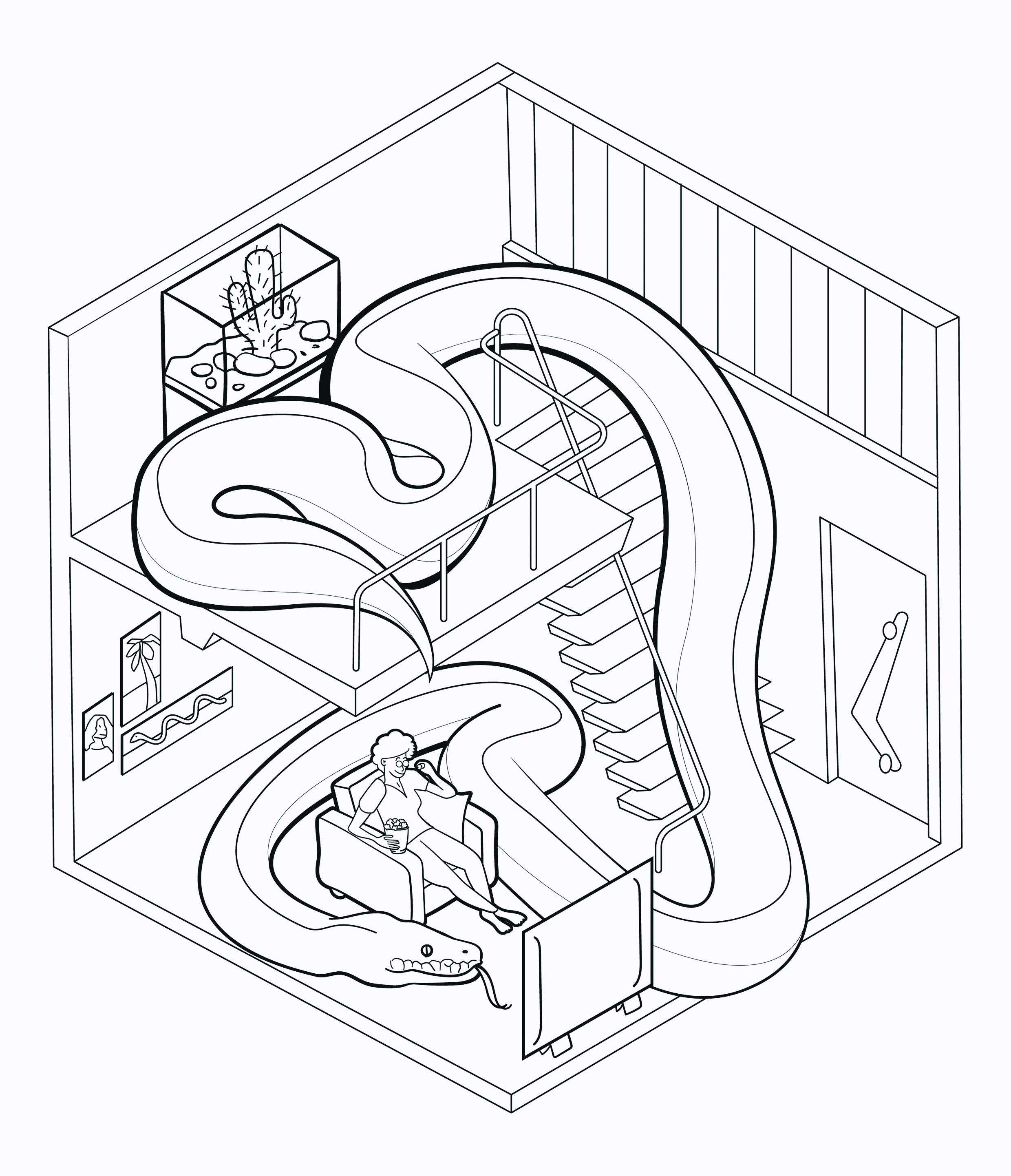 python python